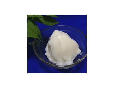 �͜������X݆����֬ ���ϝ���֬